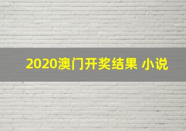 2020澳门开奖结果 小说